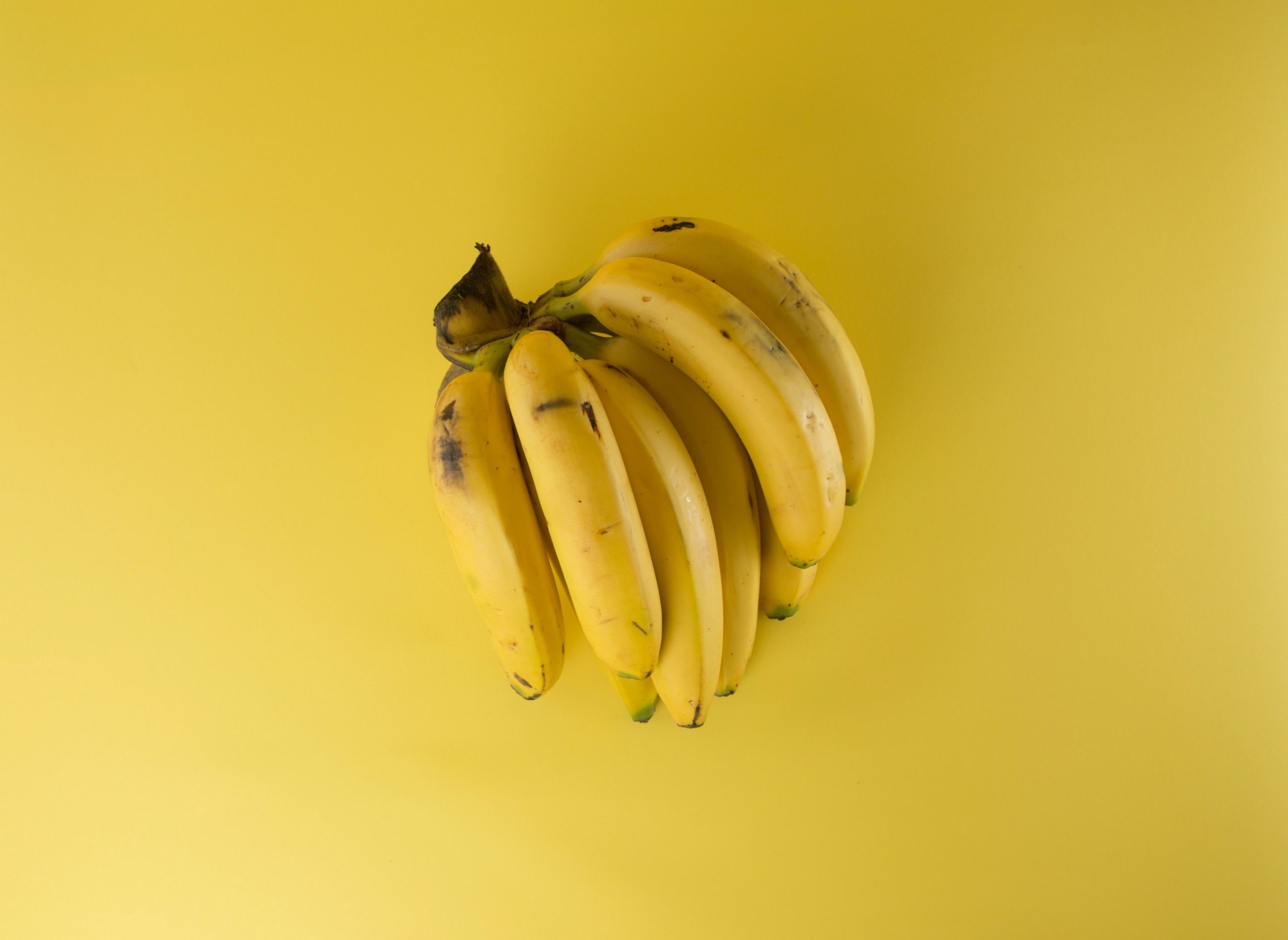 Banaaniterttu keltaisella taustalla